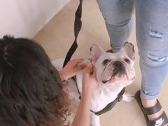 -瑞派宠物医院·中兽医专科(中央商城分院)