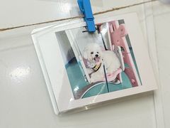 -瑞派康怡24h宠物医院·犬猫医疗中心·微创绝育(瑞景分院)