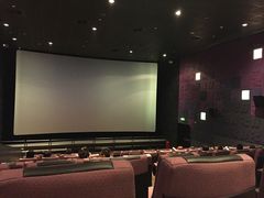 -成都百丽宫影城(LUXE太古里店)