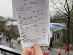-茶颜悦色(岳麓山顶店)