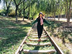 -永定河休闲森林公园