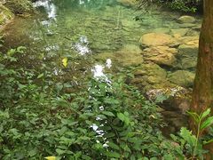 -雁荡山大龙湫景区