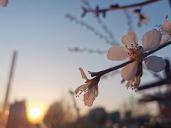 -廊坊文化艺术中心