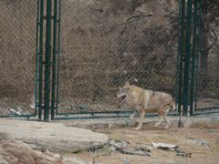 -太原动物园