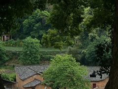 -杨家堂村