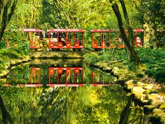 -上海共青森林公园