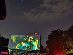 -枫花园汽车电影院(朝阳公园店)
