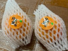 -西郊国际农产品交易中心