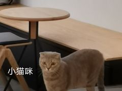 -You’ll see coffee 咖啡