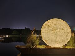 -洋湖国家湿地公园