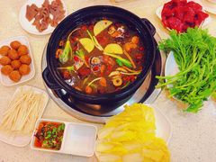 -蜀皇·菌汤鲜黄牛肉汤锅(宽窄巷子店)