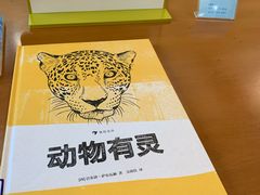 -静安区少年儿童图书馆(康定东路)