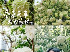 -大龙山(地铁站)