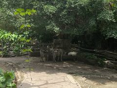 -长鹿旅游休博园