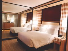 -拉斯维加斯永利酒店