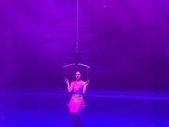 -芜湖新华联大白鲸海洋公园