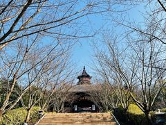 -牛首山文化旅游区