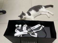 -CHANEL(恒隆广场店)