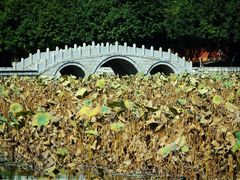 -建水文庙