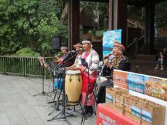 -金盆阿嬷香菇茶叶蛋(玄光店)