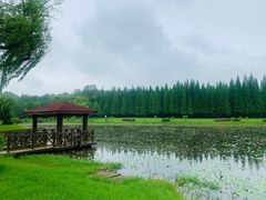 -宜兴龙背山森林公园