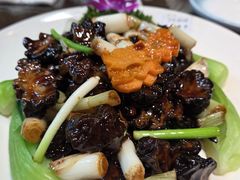 葱烧玛咖菌-东北大院·东北菜(三台子店)