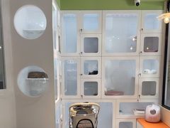 -小呆的宠物店·宠物售卖·宠物寄养(城西店)