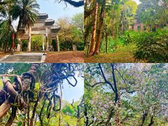 -珠江夜游广州塔·中大码头