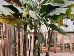 -柠檬花院烤肉·会议团建·聚会·求婚(三圣乡店)