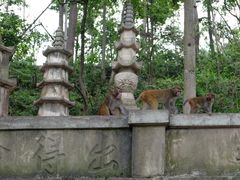 -黔灵山公园