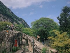 -秦岭终南山世界地质公园翠华山景区