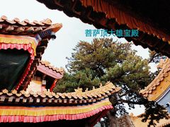 -五台山风景名胜区