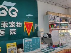 -乖乖宠物医院·猫科·急重症中心(车站北路分院)