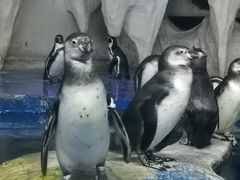 -太平洋海底世界