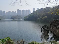-重庆彩云湖湿地公园