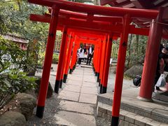 -来宫神社