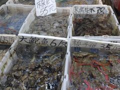 -厦门轮渡码头