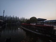 -常州花鸟园酒店(西太湖品牌优选店)