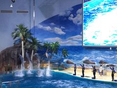 -福州罗源湾海洋世界旅游区