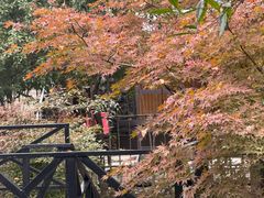 -三江森林温泉度假区