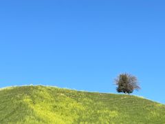 -新疆那拉提国家旅游度假区