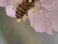 -徐家汇源景区-衡山公园