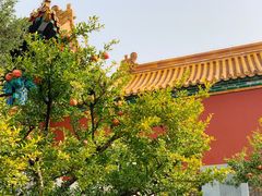 -东华门大街小区