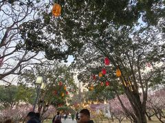 -无锡梅园公园