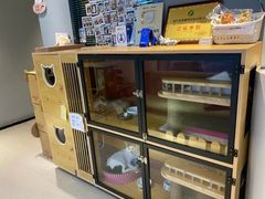 -御宝贝·A梦猫科宠物医院(国际猫友好医院)