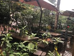 -胡桃里音乐酒馆(东区店)