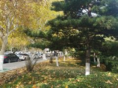 -山东大学(千佛山校区)