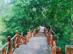 -北京鹫峰国家森林公园