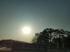 -东莞植物园