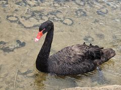 -湖泉半山温泉(湖泉生态园)